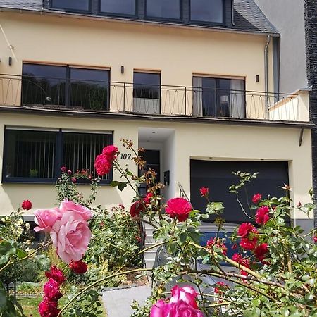 Ferienwohnung "Zum Klosterruinenblick" Креф Экстерьер фото