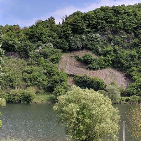 Ferienwohnung "Zum Klosterruinenblick" Креф Экстерьер фото