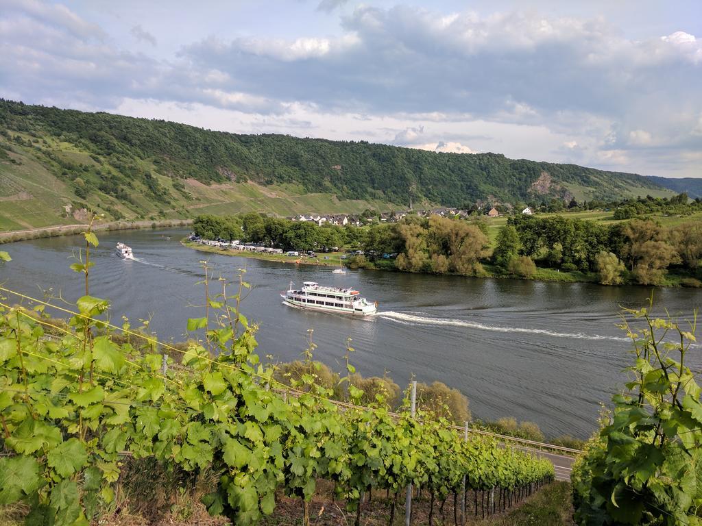 Ferienwohnung "Zum Klosterruinenblick" Креф Экстерьер фото