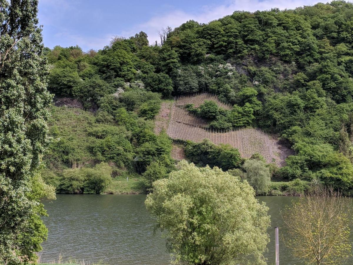 Ferienwohnung "Zum Klosterruinenblick" Креф Экстерьер фото